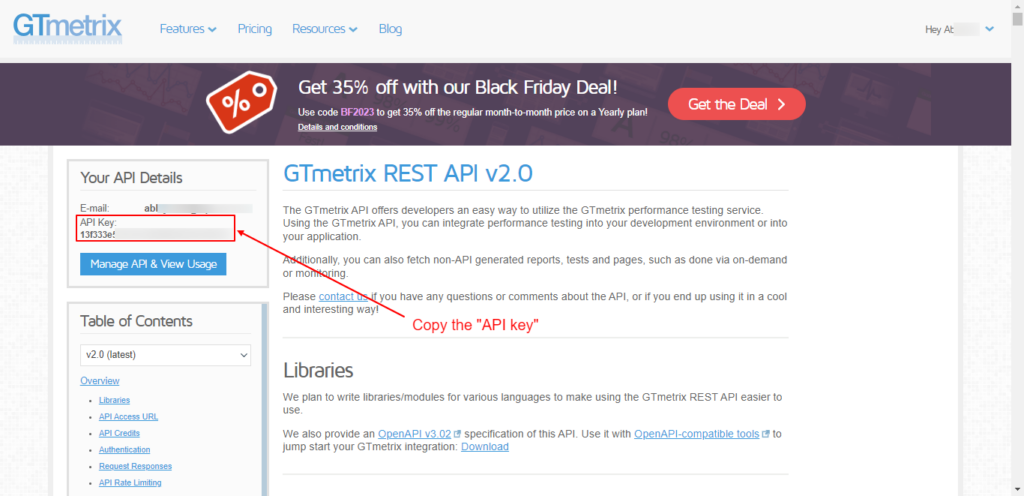 Get the “GTmetrix Rest API Key”