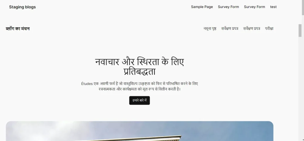 Output of Translated Website in Hindi